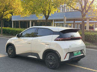 BYD 2024 Seagull Glory Version 305km Dynamic Version - 9
