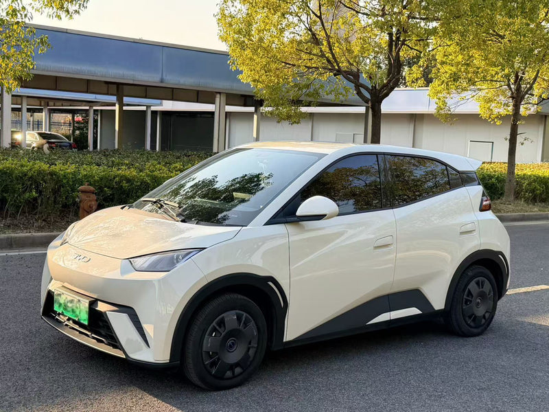 BYD 2024 Seagull Glory Version 305km Dynamic Version
