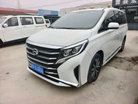 Trumpchi 2023 M8 2.0T 390T Lingxiu Series Luxury Version - 1