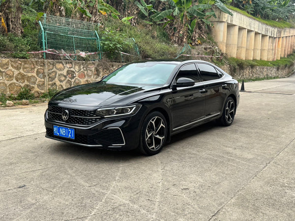 Volkswagen 2024 Passat 2.0 TSI 380 TSI Starry Sky Dragon Brilliance Edition