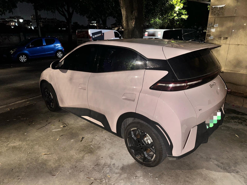BYD 2024 Seagull Glory Edition 405km Flying Version