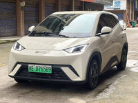 BYD 2024 Seagull Glory Edition 405km Flying Version - 1
