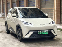 BYD 2024 Seagull Glory Edition 405km Flying Version - 2
