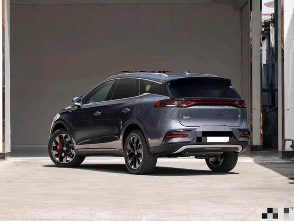 BYD Tang New Energy 2024 Tang DM-i 1.5T CVT Champion Edition 200 km Flagship Model