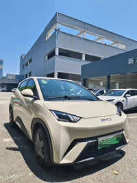 BYD 2024 Seagull Glory Version 305km Dynamic Version - 2