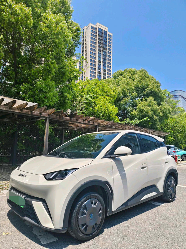 BYD 2024 Seagull Glory Version 305km Dynamic Version