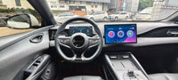 BYD 2024 Seal 06 DM-i 1.5 CVT 120 km Honor Model - 2