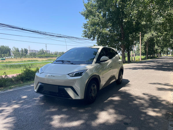 BYD 2024 Seagull Glory Version 305km Dynamic Version