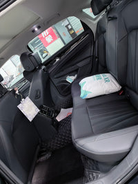 Volkswagen 2025 Passat 2.0 TSI 380 TSI Outstanding Model Starry Sky Dragon Soaring Edition - 4