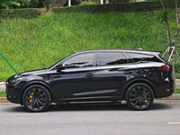 BYD Tang New Energy 2024 Tang DM-p 1.5T CVT War God Edition - 2