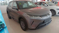 BYD 2024 Yuan UP 301km Leading Version - 2