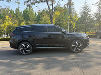BYD Tang New Energy 2023 Tang DM-i 1.5T CVT 112 km Champion Edition Prestige Version - 4