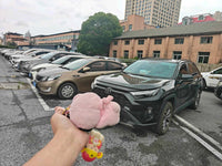 Toyota 2024 RAV4 2.0 CVT 2WD XLE Plus - 1