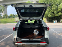 Toyota 2024 RAV4 2.0 CVT 2WD XLE Plus - 8