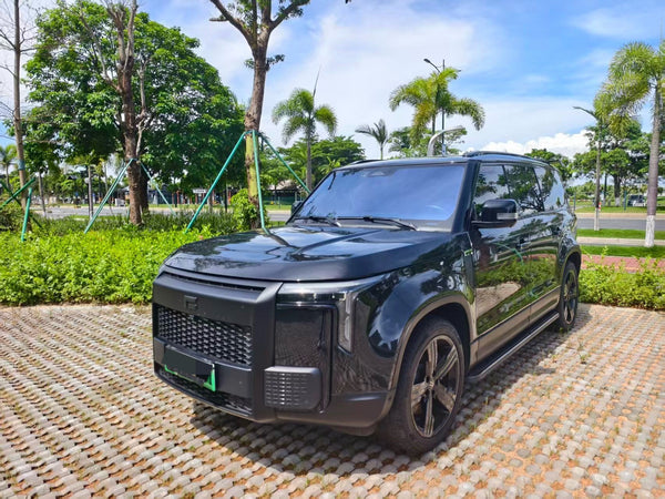 ROX 2024 JiShi 01 Prestige 6-seater Standard Range Edition