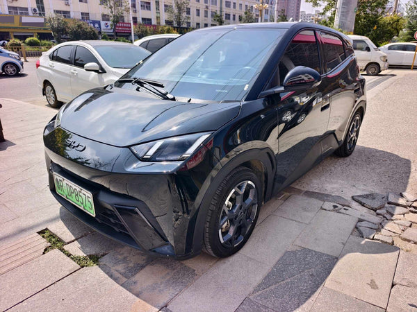 BYD 2024 Seagull Glory Edition 405km Flying Version