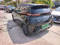 BYD 2024 Seagull Glory Edition 405km Flying Version - 4