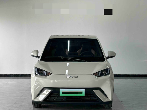 BYD 2024 Seagull Glory Version 305km Dynamic Version