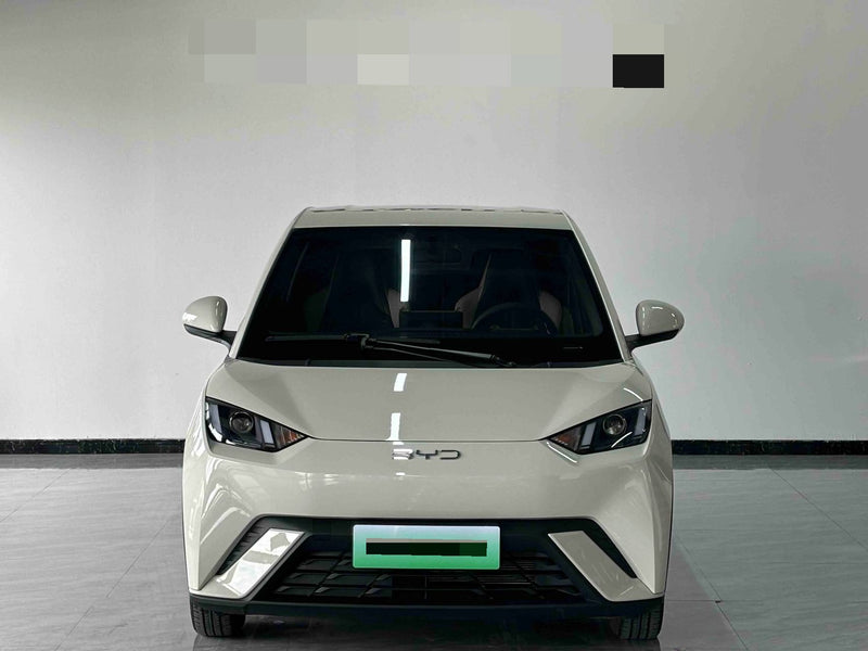 BYD 2024 Seagull Glory Version 305km Dynamic Version