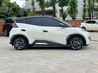 BYD 2024 Seagull Glory Version 305km Dynamic Version - 3