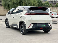 BYD 2024 Seagull Glory Version 305km Dynamic Version - 5