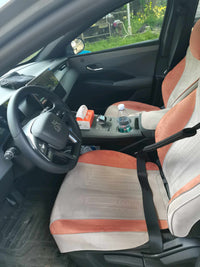 BYD 2025 Qin PLUS EV Intelligent Driving Version 420 km Leading Trim - 7
