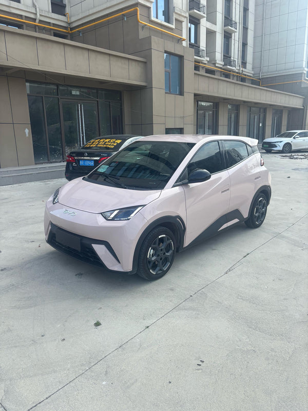 BYD 2024 Seagull Glory Edition 305km Free Version