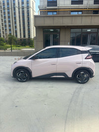 BYD 2024 Seagull Glory Edition 305km Free Version - 2