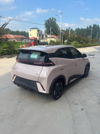 BYD 2024 Seagull Glory Edition 305km Free Version - 9