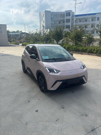 BYD 2024 Seagull Glory Edition 305km Free Version - 5