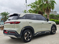 BYD 2024 Yuan UP 401km Leading Version - 9