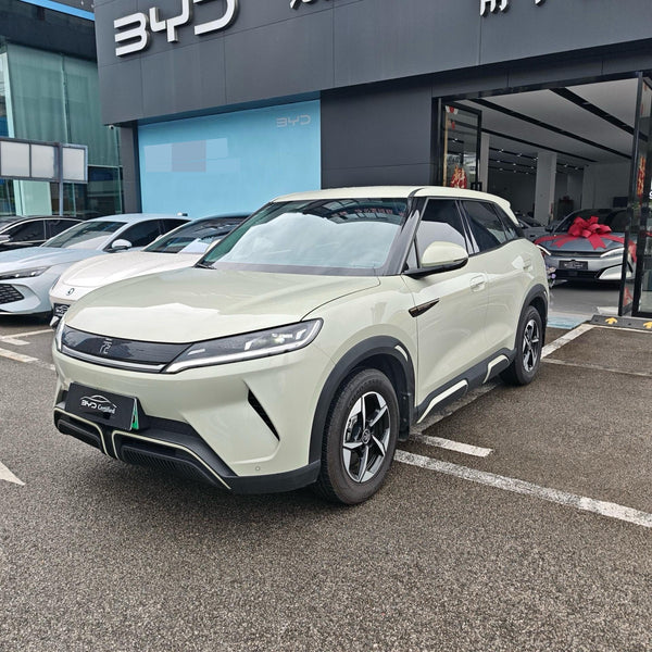 BYD 2024 Yuan UP 401km Leading Version
