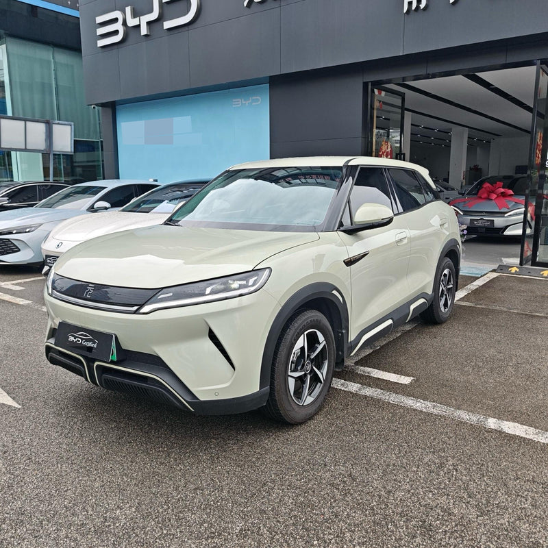 BYD 2024 Yuan UP 401km Leading Version