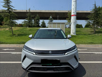 BYD 2024 Yuan UP 301km Leading Version - 2
