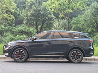 BYD Tang New Energy 2024 Tang DM-p 1.5T CVT Champion Edition 215 km All-Wheel Drive Flagship Model - 2