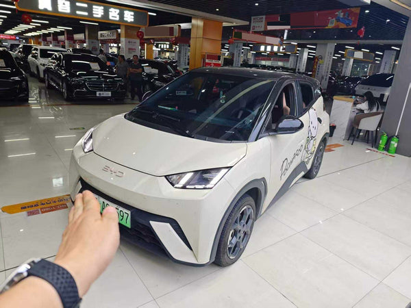 BYD 2024 Seagull Glory Edition 405km Flying Version