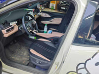 BYD 2024 Seagull Glory Edition 405km Flying Version - 2