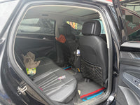 Volkswagen 2024 Passat 2.0 TSI 380 TSI Starry Sky Dragon Brilliance Edition - 3