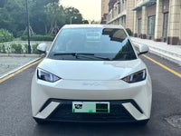 BYD 2024 Seagull Glory Edition 405km Flying Version - 2