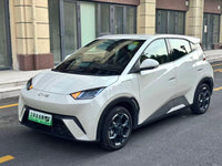 BYD 2024 Seagull Glory Edition 405km Flying Version - 1