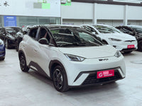 BYD 2024 Seagull Glory Edition 405km Flying Version - 3