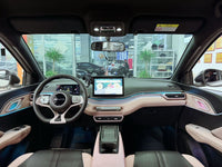 BYD 2024 Seagull Glory Edition 405km Flying Version - 9