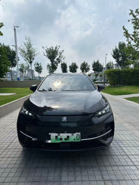 BYD Tang New Energy 2024 Tang EV Champion Edition 730 km Prestige Model - 3