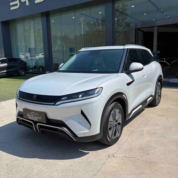 BYD 2024 Yuan UP 401km Superior Version