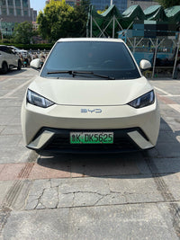 BYD 2024 Seagull Glory Version 305km Dynamic Version - 2