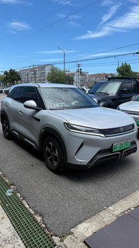BYD 2024 Yuan UP 401km Leading Version - 2
