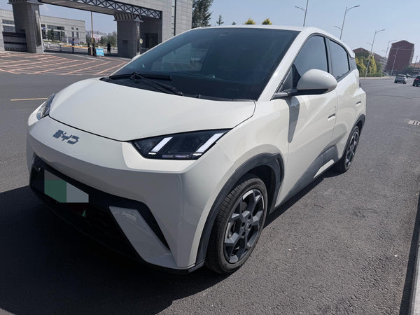 BYD 2024 Seagull Glory Edition 405km Flying Version