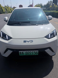 BYD 2024 Seagull Glory Edition 405km Flying Version - 2