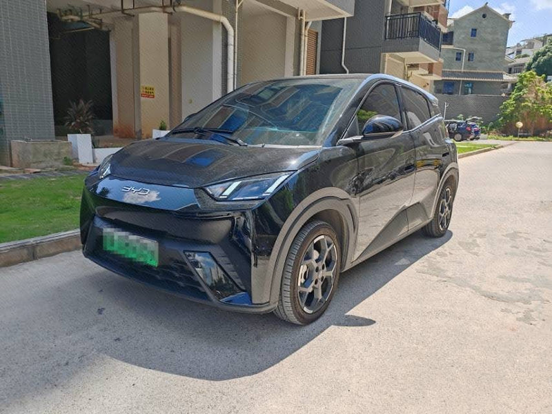 BYD 2024 Seagull Glory Edition 405km Flying Version