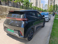 BYD 2024 Seagull Glory Edition 405km Flying Version - 6